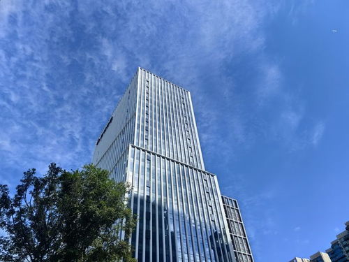 無(wú)機(jī)復(fù)合聚苯不燃保溫裝飾板50mm厚技術(shù)開(kāi)發(fā)與應(yīng)用前景